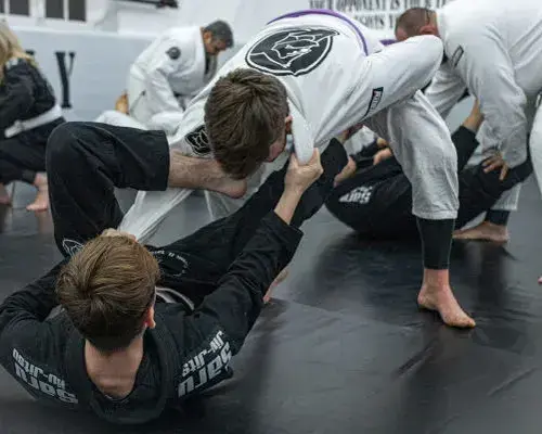 Brazilian Jiu-Jitsu